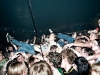 Uk Tour Oct 09, Liverpool Academy. Photo by Mark McNulty